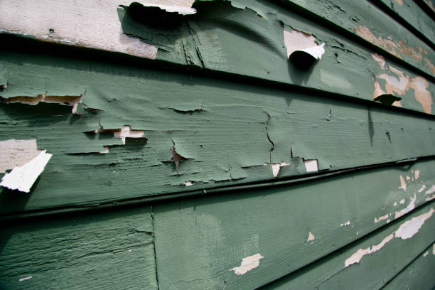 Best Garage Cleanout  in New Franklin, MO